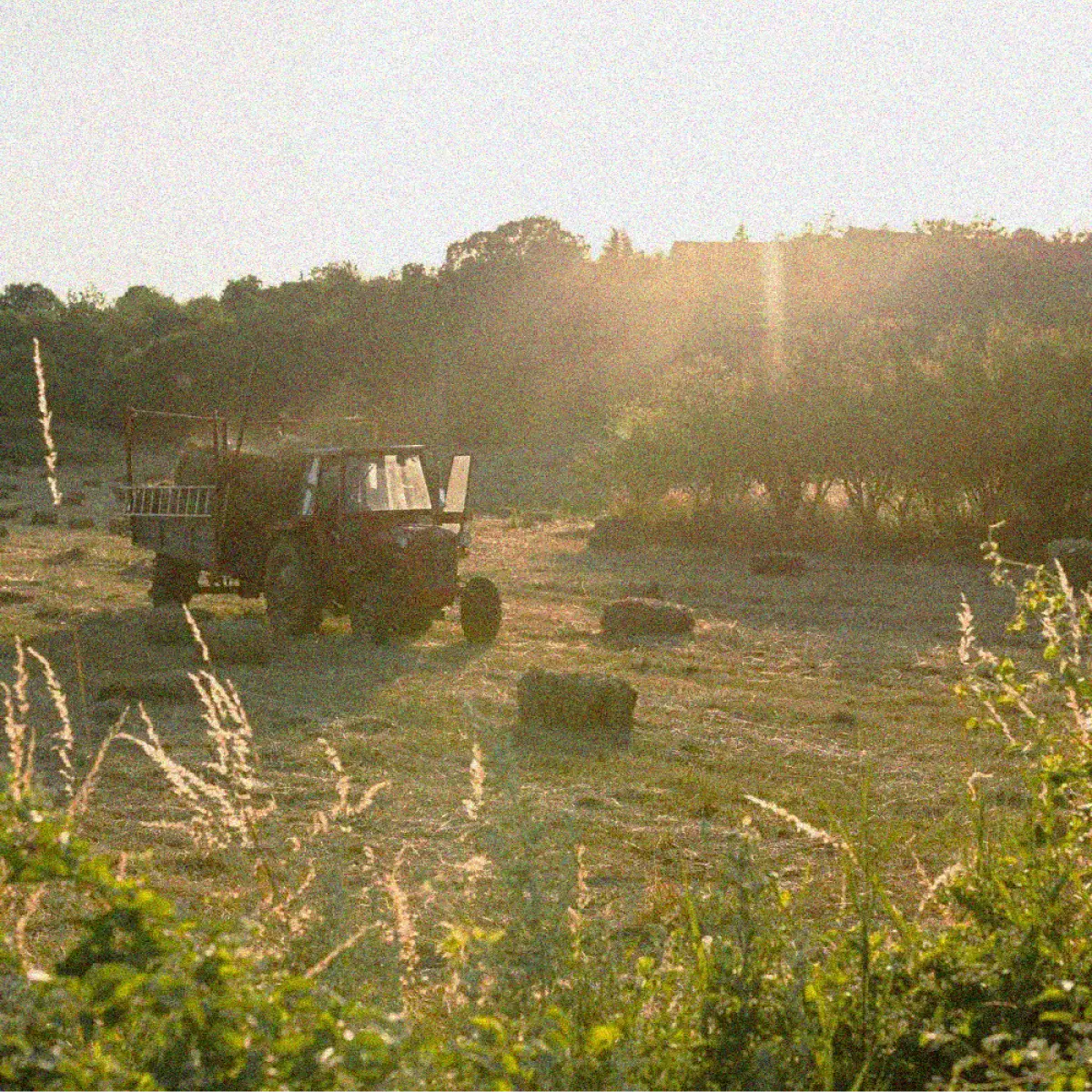 max-farmer-productos-agricultura